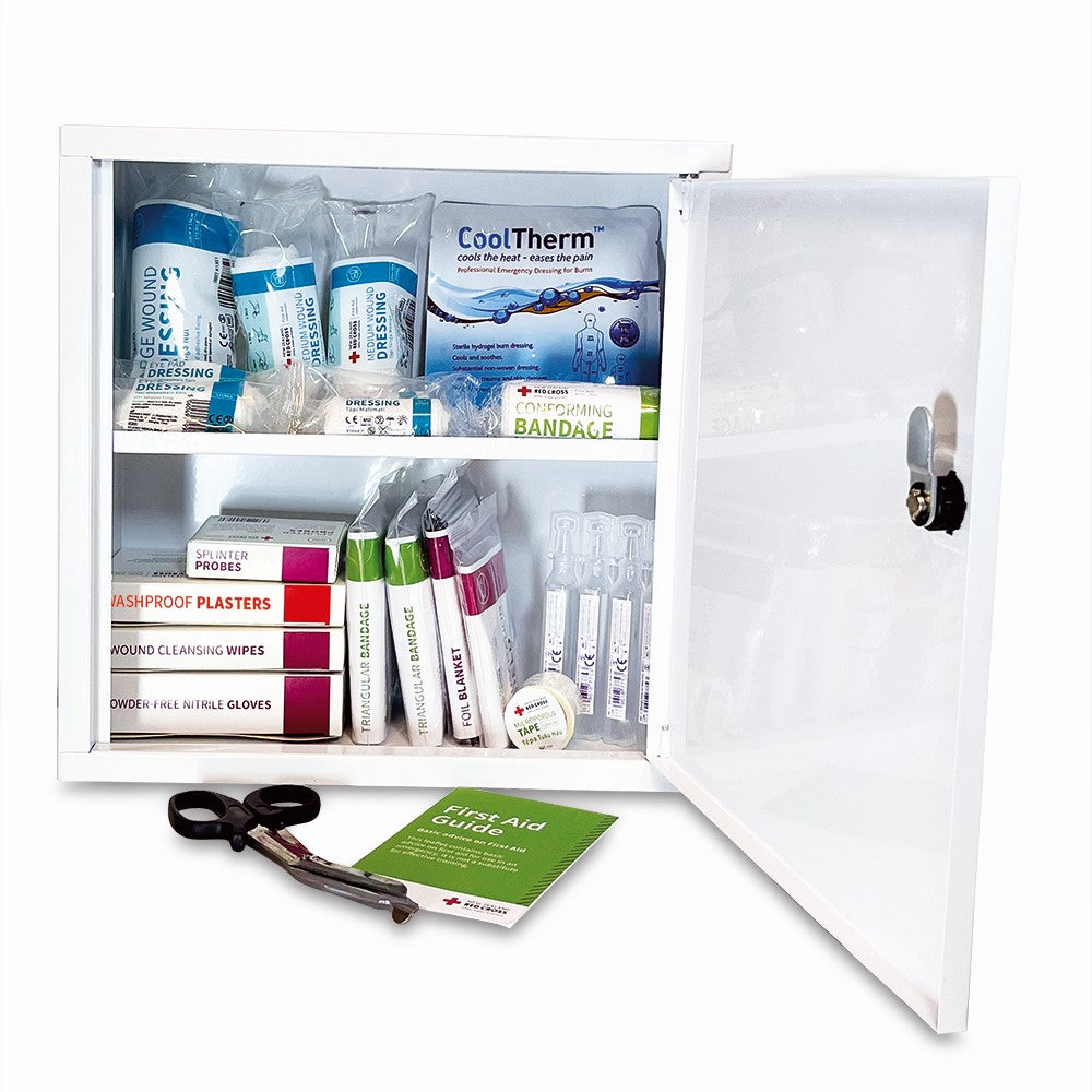 Workplace First Aid Kit Small in Wall Cabinet