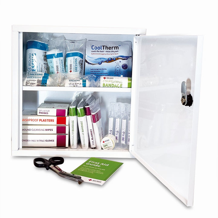 Workplace First Aid Kit Small in Wall Cabinet