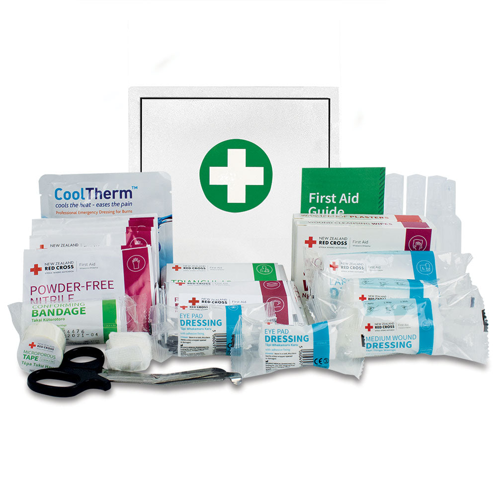 Workplace First Aid Kit Small in Wall Cabinet