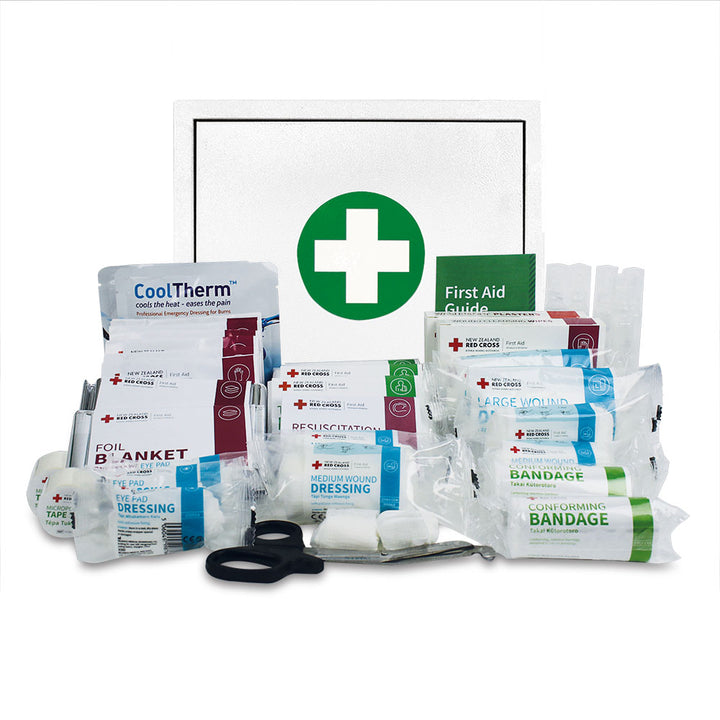 Workplace First Aid Kit Medium in Wall Cabinet